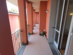 Valsamoggia (BO) - Appartamento con terrazzo  e garage doppio - 7
